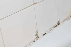 Disinfects & kills mold w/ a strong cleaning power! Eek I Have Black Mold Mildew Or Similar Icky Stuff What Do I Do