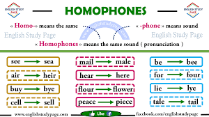 Homophones Word List In English English Study Page Homophones Words English Study Homophones