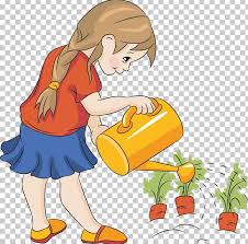 Magic garden song lyrics for kids. Watering Cans Garden Png Clipart Arm Boy Cartoon Child Drawing Free Png Download