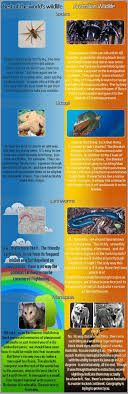 Why Is Australia So Scary Australia Funny Australia Vs America Tgif Funny