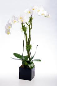 Flower Design Weekly Subscription Nyc Corporate Flowers Flower Delivery Same Day Flower Delivery