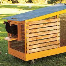super stylish chicken coops chickens backyard urban chickens urban chicken farming