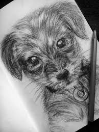The length from the lower line of a trunk to the heel is equal to two distances from the heel to the ground. Puppy Drawing Pencil Cute Dog Skethcbook Sketches Art Pencil Drawing Of A Puppy Realistic Drawings Dog Drawing Dog Pencil Drawing
