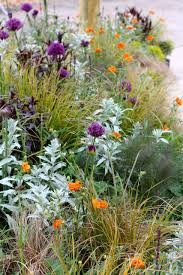 5 High Fashion Garden Ideas From The Chelsea Flower Show Chelsea Flower Show Flower Show Flower Landscape