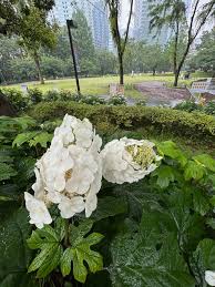 2025年6月 – 岡本亜美(おかもとあみ)のブログ