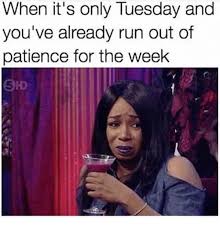 Having even one, small positive thought can change the rest of your day for the better. 15 Happy Tuesday Memes Best Funny Tuesday Memesbest Life