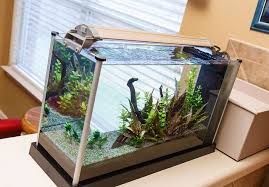 21 Unique Aquarium Decoration Accessories In Kolkata Fish Aquarium Decorations Aquarium Accessories Aquarium Decorations