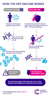These abnormal cells show early precancer changes called dysplasia or cervical intraepithelial neoplasia (cin). Does Hpv Cause Cancer Cancer Research Uk