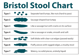 Bristol Stool Chart Gastrointestinal Society
