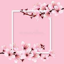 Cherry Blossom Stock Illustration Cherry Blossom Background Anime Cherry Blossom Flower Drawing