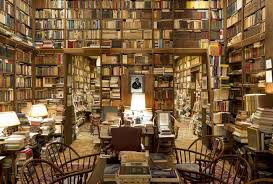 Image result for ipnosi 1981 2021