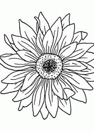Sunflower Coloring Page For Kids Flower Coloring Pages Printables Free Sunflower Coloring Pages Flower Coloring Pages Bee Coloring Pages