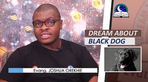 What Does It Mean To Dream Of A Black And White Dog Mi Dog Guide