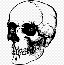 Drawing bodies (especially in dynamic poses) requires a fundamental understanding of how bodies look and move. Full Size Of Easy To Draw Skulls Step By Skull Face Transparent Dead Skeleto Png Image With Transparent Background Toppng