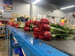 Maybe you would like to learn more about one of these? Take A Look Inside The Fort Wayne Wholesale Florist Distributing 1 Million Flowers This Valentine S Day Wane 15