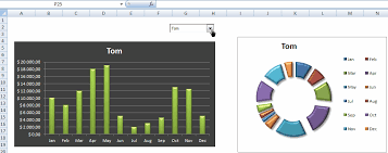 Cintellis University Excel Dynamic And Animated Charts