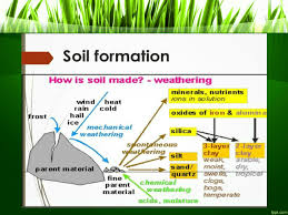 A number of natural force, called agents, work to. Myrandombrainfarts Soil Formation Pdf Factors Influencing Soil Formation Ppt Video Online Download Time Acts On Soil Formation In Two Ways