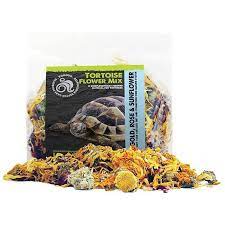 Put the prepared flowers and. Komodo Tortoise Flower Mix 60g Pet Bliss Ireland