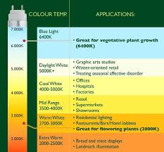 We did not find results for: Which Grow Light Should I Use For Growing Cannabis Spliffseeds