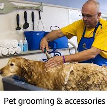 Pet supply store with broad selection of competitively priced natural pet foods and supplies, as well as professional grooming & dog training services. Pet Supplies Buy Pet Supplies Online At Best Prices In India Amazon In