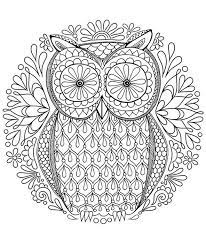 Vielleicht bist du auch an weiteren ausmalbilder aus den kategorien tier mandalas, mandalas. Eule 1 Ausmalbilder Fur Erwachsene