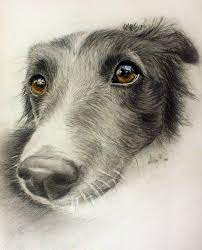 It Is All About Conscience By Zileart On Deviantart Mouton Dessin Dessin De Chien Peintures De Chien