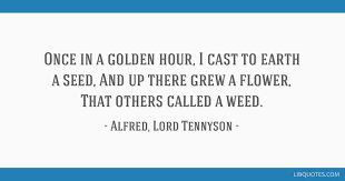 Searching for a famous nature quote? Once In A Golden Hour I Cast To Earth A Seed And Up There Grew A