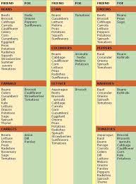 Tomato Companion Plants Corn Beans Carrots Lettuce Peppers Tomato Companion Plants Companion Planting Chart Companion Gardening