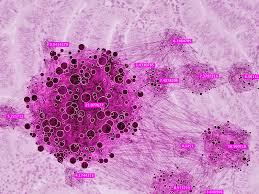 Pain and fractures, when cancer has spread to the bone headache, seizures, or dizziness, when cancer has spread to the brain New Detailed Molecular Roadmap Boosts Fight Against Endometrial Cancer Pnnl