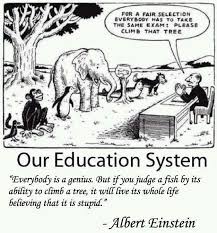 Albert Einstein Education System Education Quotes Teacher Humor