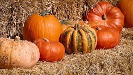 WV Pumpkin Festival