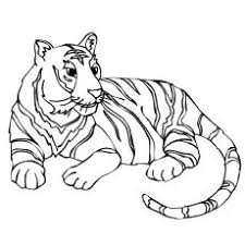 Top 20 Free Printable Tiger Coloring Pages Online Zoo Animal Coloring Pages Coloring Pages Zebra Coloring Pages