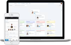 7 Best Org Chart Software For 2019