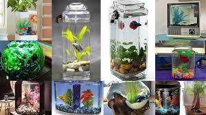 Salah satunya aquarium jenis botol yang sudah beredar dan diperjual belikan dengan harga. View Model Aquarium Ikan Cupang Hias Images
