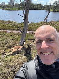 Elephant Preservation Experience near Victoria Falls