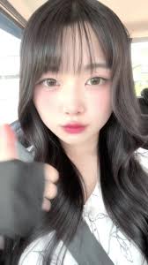 秋田の熊70mゴジラ