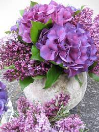 Beautiful Hydrangea Flower Arrangement Ideas 5 Awesome Indoor Outdoor Hydrangea Flower Arrangements Flower Arrangements Beautiful Hydrangeas