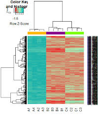Variations of purple signify pancreatic cancer, testicular cancer, leiomyosarcoma, hodgkin lymphoma, stomach cancer, and esophageal cancer. Heat Map Of Gene Expression Up Regulated Genes The Color Key Download Scientific Diagram