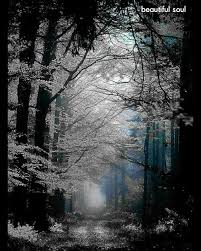 Black And White Nature Painting Pin By Louise Dunaway On Nature Color Splash Photography Color Splash Photo Splash Photography