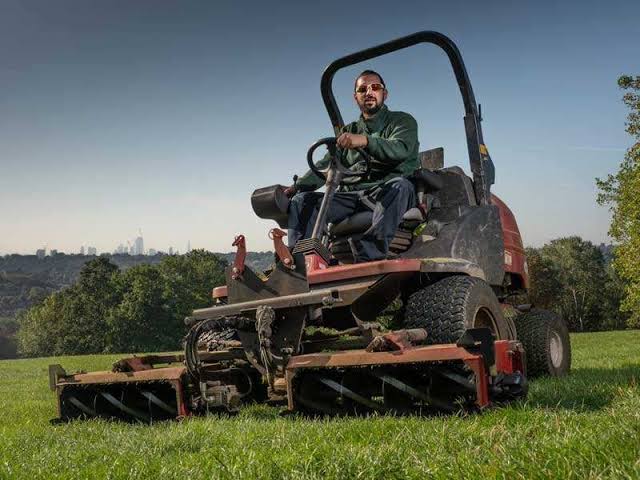 Borders cleared of weeds near Welling