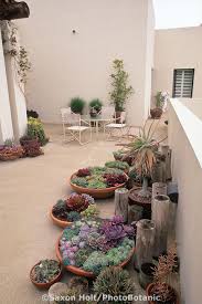 Jardin Casa Villa De Leyva Suculentas Jardines Plantas Jardin