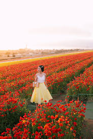 The flower fields in carlsbad, california are home to some seven million blooms, which are expected to bloom from march through early may. Uniqlo Circle Skirt At Carlsbad Flower Fields By Extra Petite