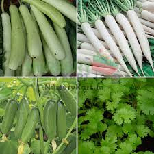 Buy plants and gardening tools online at snapdeal. Summer Kitchen Garden Pack Nursery Kart Online Plants India