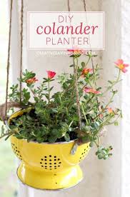 Diy Colander Planter With Images Flower Planters Ikea Planters Container Gardening