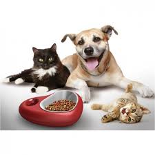 eminonu petshop urunleri istanbul eminonu