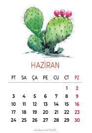Kaktus Suslemeli 2019 Takvimi Planlayici Ajandalar Haftalik Planlayici