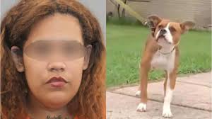 Mujer que intentaba dispararle a un cachorro hirió a su hijo de 5 años