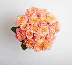 Maybe you would like to learn more about one of these? Best Florists Flower Delivery In North Little Rock Ar 2021