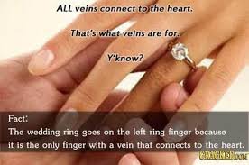 All Veins Connect To Your Heart Duh Wedding Rings Rings Left Ring Finger