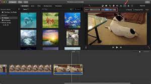 Check spelling or type a new query. Turn A Video Into Time Lapse On Iphone Imovie Online